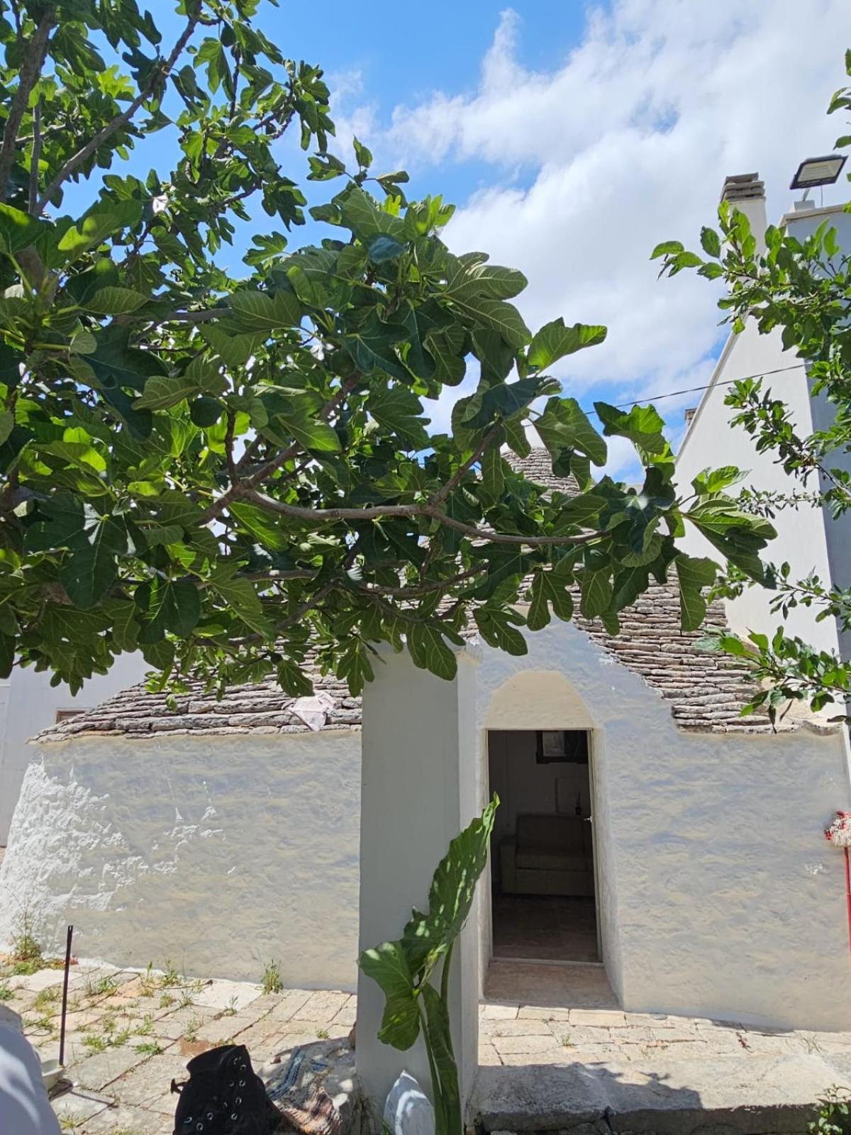 River Trulli Oasi Di Pace In Sito Unesco Alberobello Luaran gambar