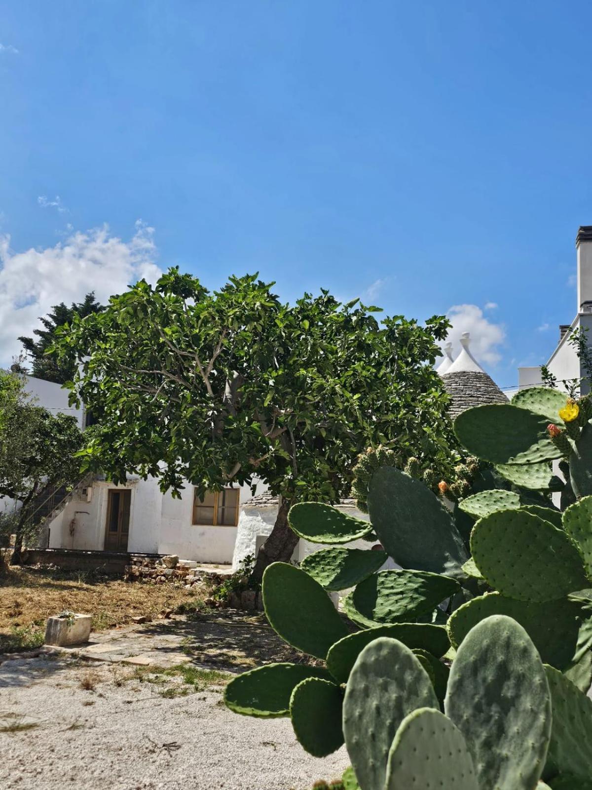 River Trulli Oasi Di Pace In Sito Unesco Alberobello Luaran gambar